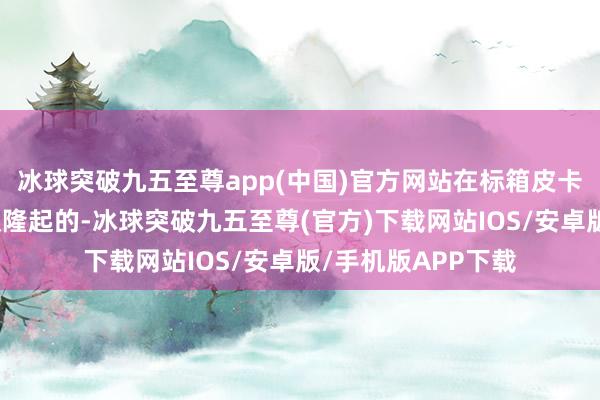 冰球突破九五至尊app(中國)官方網站在標箱皮卡內轄下于發達至極隆起的-冰球突破九五至尊(官方)下載網站IOS/安卓版/手機版APP下載
