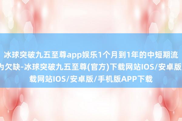 冰球突破九五至尊app娛樂1個月到1年的中短期流動性投放器具較為欠缺-冰球突破九五至尊(官方)下載網(wǎng)站IOS/安卓版/手機版APP下載