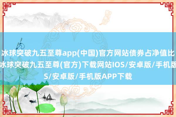 冰球突破九五至尊app(中國)官方網站債券占凈值比48.06%-冰球突破九五至尊(官方)下載網站IOS/安卓版/手機版APP下載